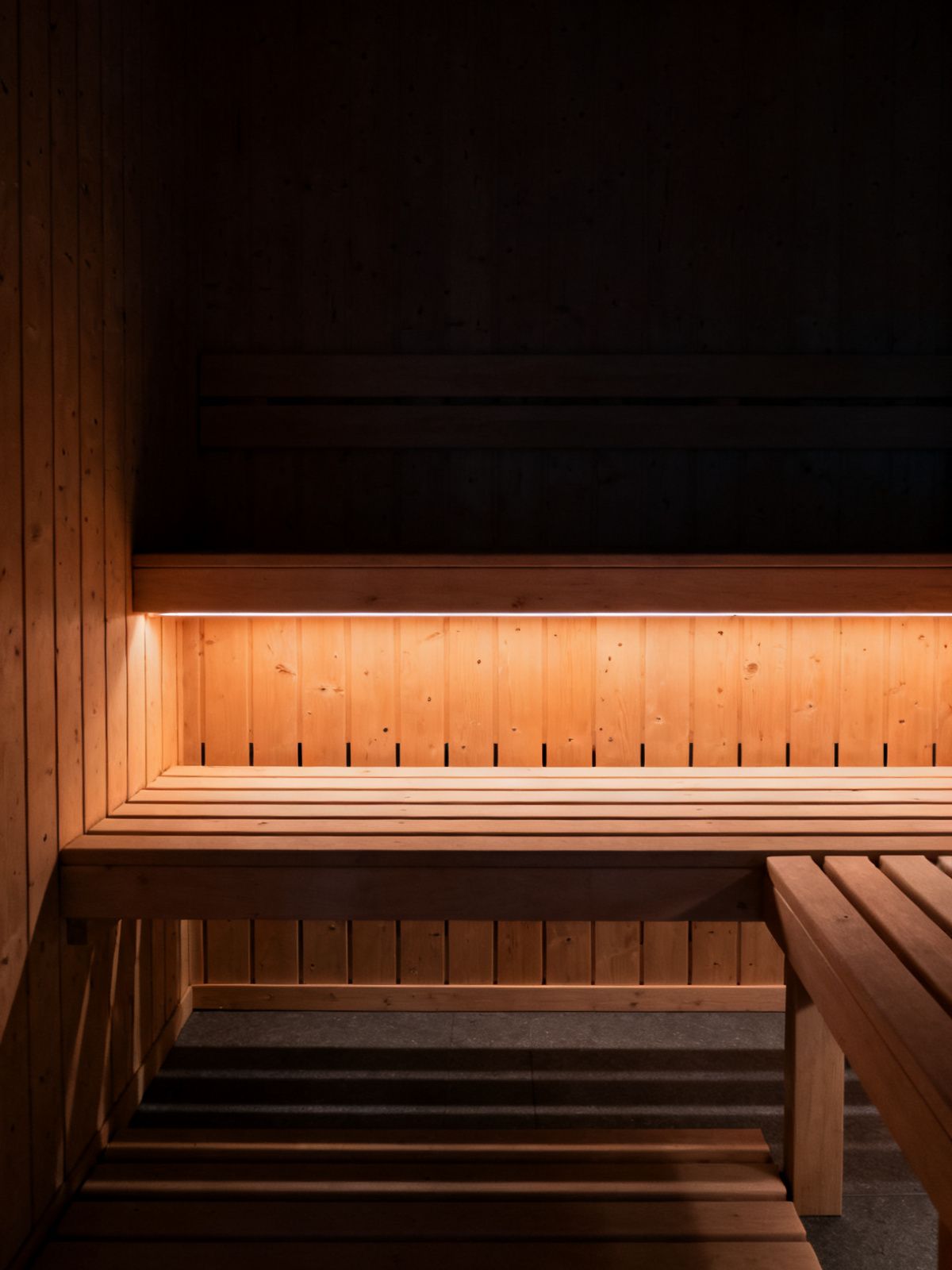 Innenraum einer Elementsauna aus hellem Holz mit zwei Bankebenen